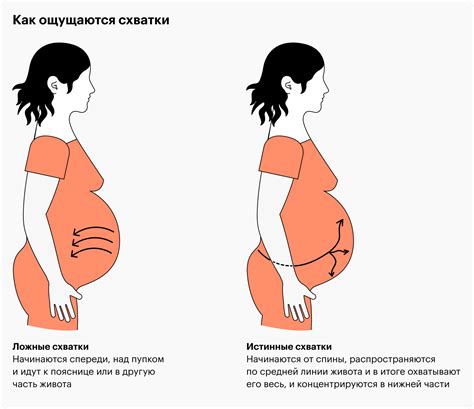 Когда начинаются родовые схватки и как их распознать