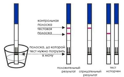 Когда стоит использовать rapid тесты?