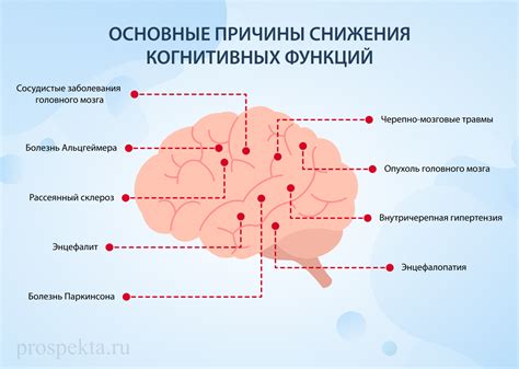 Когнитивные функции и их типы