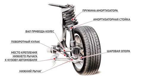 Колибри подвески в автомобиле: особенности и преимущества