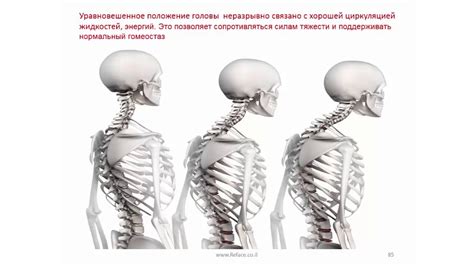 Колики и их влияние на положение головы