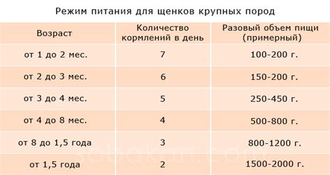 Количество и режим кормления: