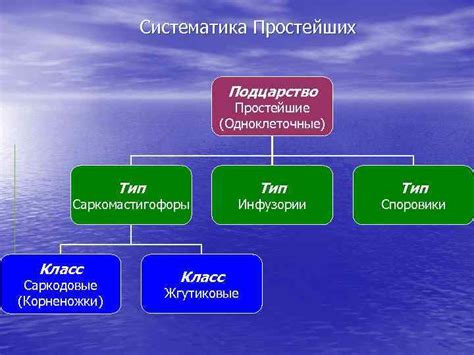 Колониальные простейшие в экономике