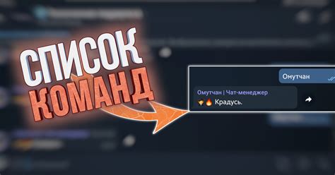 Команды и функционал