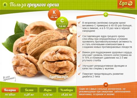 Комбинация грецкого ореха и кунжута: польза для здоровья