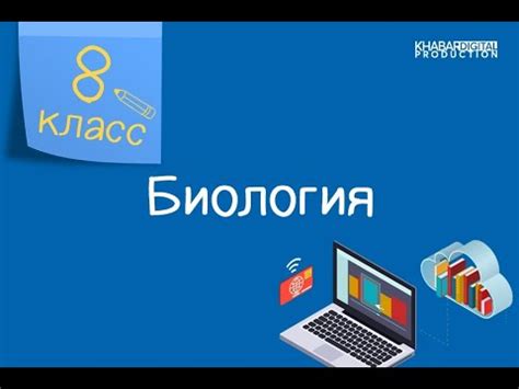 Коммерческий класс: основные характеристики и преимущества