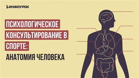 Консультирование человека: важность