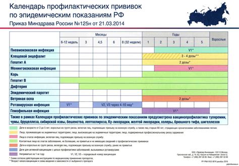 Контроль за прохождением необходимых прививок