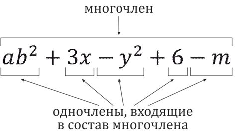 Корни многочлена: что это и для чего нужно знать