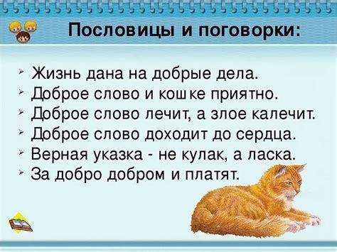 Котейка: смысл и значение