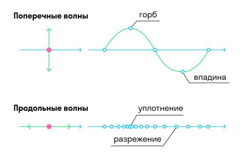 Кратность в физике