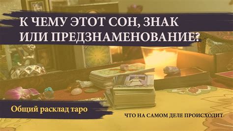 Кровавый сон: предзнаменование или случайность?