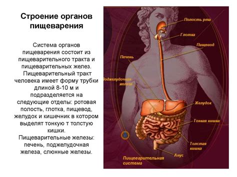 Кровотечение из верхних пищеварительных органов