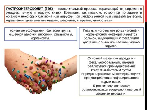 Кровь как основной носитель инфекций