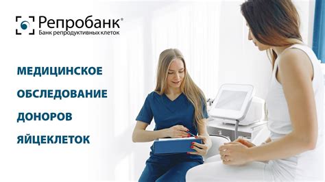 Кто может стать донором яйцеклеток?