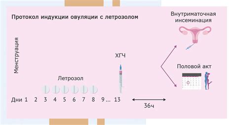 Кто нуждается в индукции овуляции?