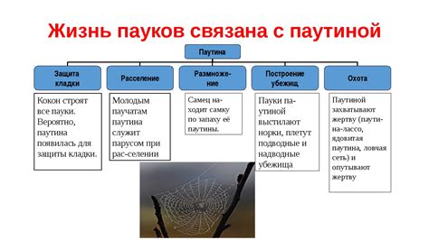 Культурное значение паутины в искусстве