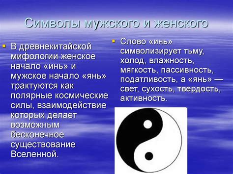 Культурно-исторические аспекты символики пухлого кота в восприятии женщин
