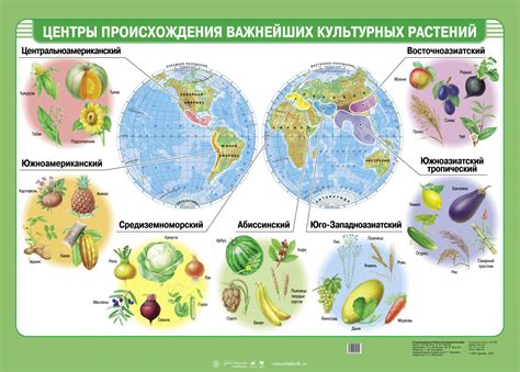 Культурные влияния происхождения