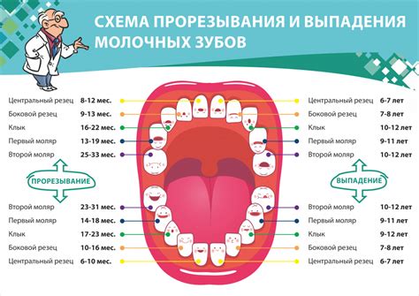 Культурные и мифологические смыслы выпадения зуба в видении