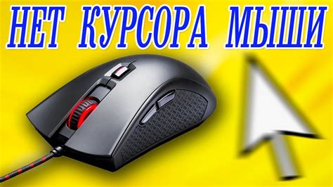 Курсор мыши на ноутбуке не работает: что делать?