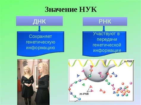 Лабильная РНК: вызывает генетическую нестабильность