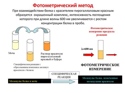 Лабораторные исследования почек