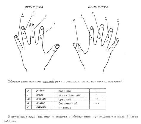 Левая и правая рука в культурных традициях