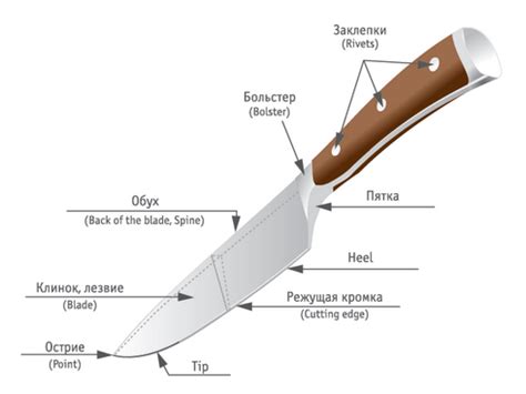 Лезвие ножа: что это?