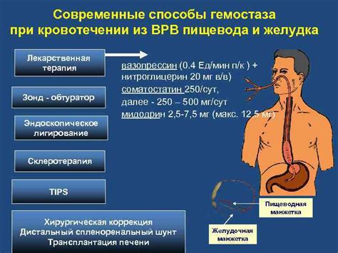 Лекарственная терапия печени мелкозернистой