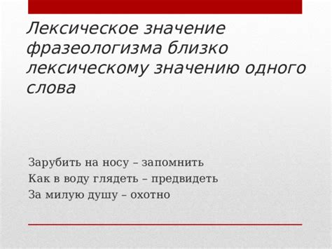 Лексическое значение фразеологизма "находить общий язык"