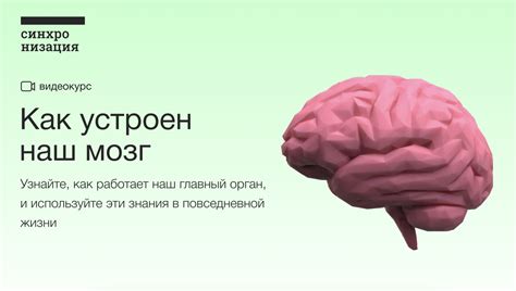 Летящие образы: мяч, стучащий в мозг, как символ перемен и потенциальных возможностей