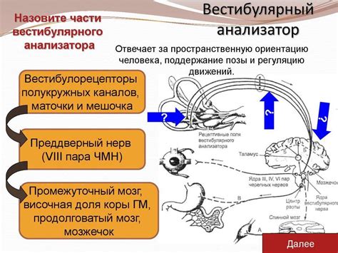 Лечение атактического синдрома