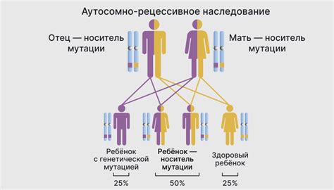 Лечение аутосомно рецессивных признаков