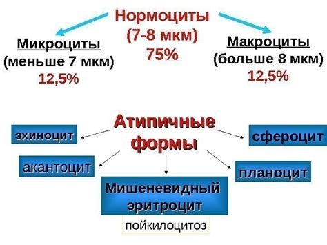 Лечение гипохромии анизоцитоза эритроцитов