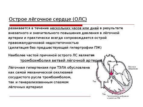 Лечение и прогноз при сердце двоедушном: