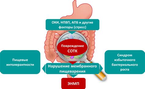 Лечение непроходимости кишечника