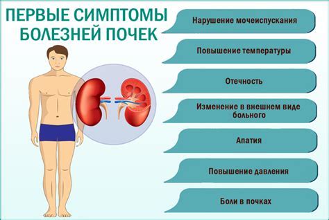 Лечение ротации почек и профилактика