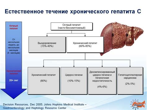 Лечение хронического гепатита C в неактивной стадии