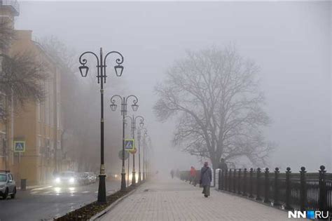 Лимоны в соннике: символика и значимость