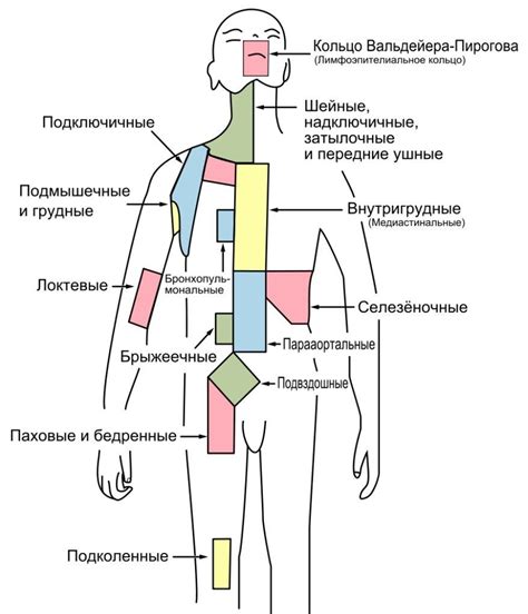 Лимфаденопатия аксиллярного лимфоузла