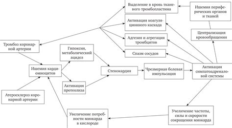 Лимфососудистая инвазия: причины и механизмы развития