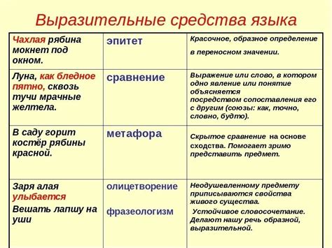 Лингвистические понятия: определения и примеры