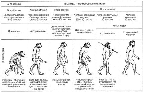 Лопотали: история возникновения и эволюция значения