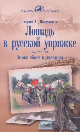 Лошадь в бегах без управления: Смысл и толкование сновидения