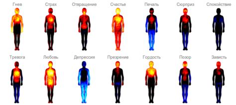 Любовь и страх: ключевые эмоции в жизни и смерти