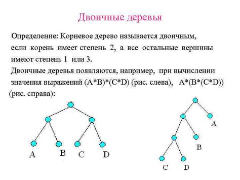 Люди деревья: определение и объяснение