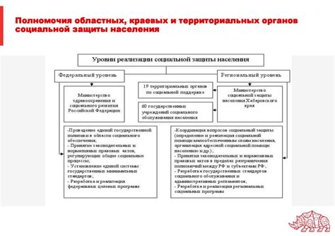 ММО 77 Регион и его роль в социальной сфере