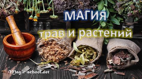 Магия растений и трав для фета