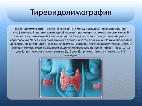 Мазок NILM: проверка эндокринной системы